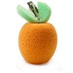 Sponge Fruit Orange