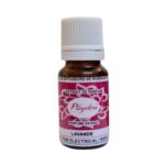 Phydra - Reed/D Lavande