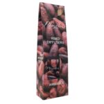 Phydra - Reed/D 3 In 1 Ambience